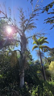 GC-Parque Botanico de Maspalomas 2025-056.jpg